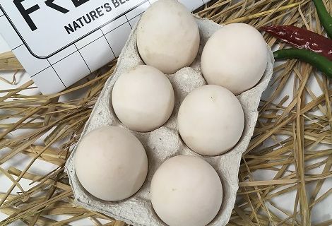 Duck Eggs - Pack of 6